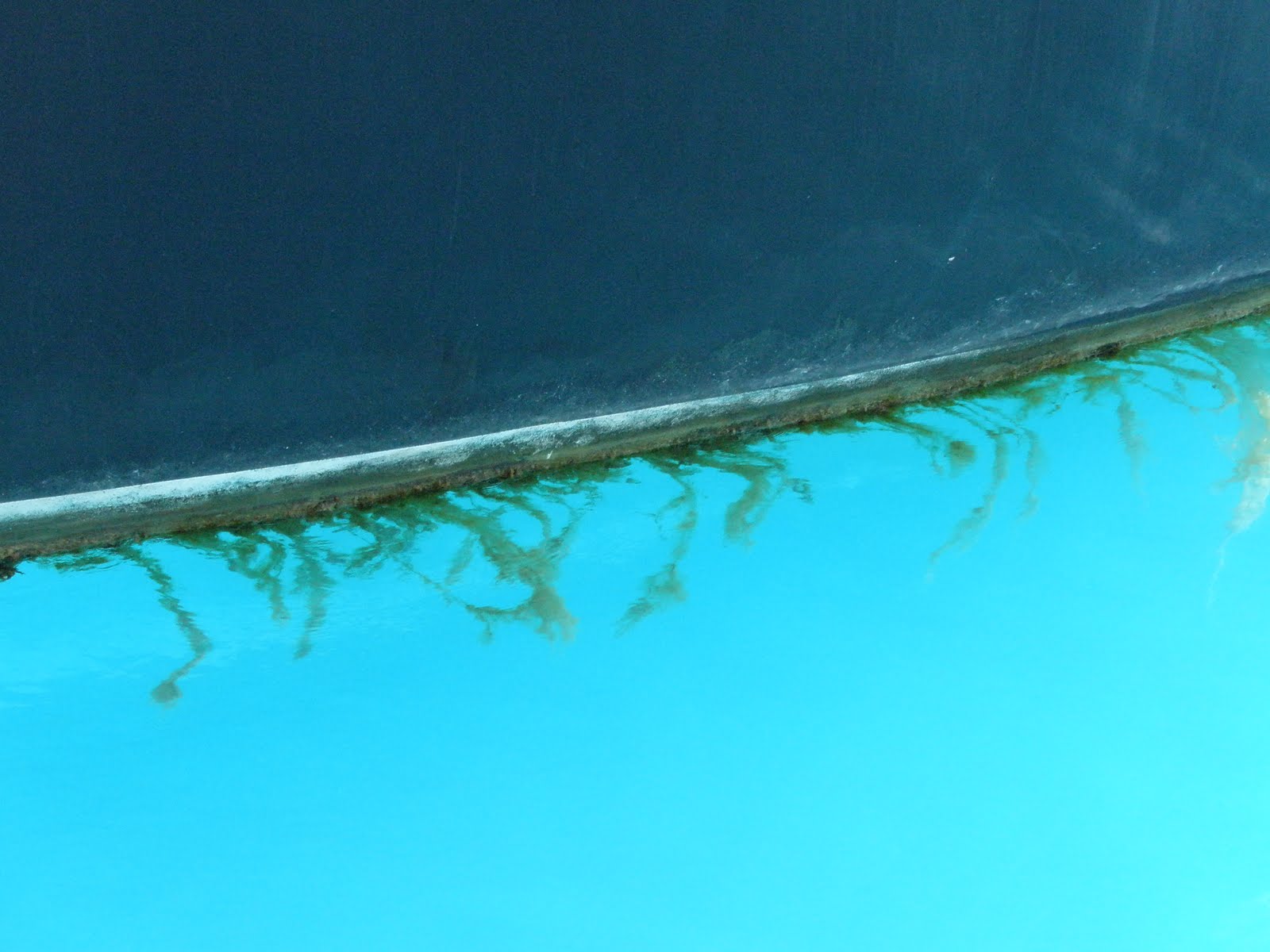 How to Keep A Clean Boat Bottom Ahoy! Insurance